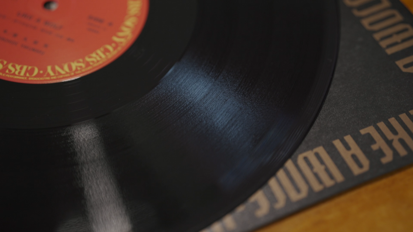 Traceable Rights Protection